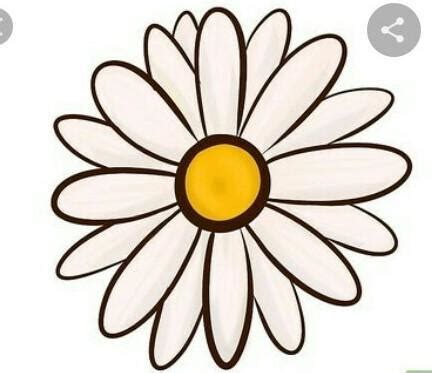 paano mag drawing ng flower